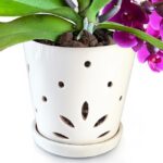 ceramic orchid pots with holes 5 inch